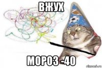 вжух мороз -40