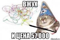 вжух и цена 57 000