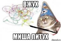 вжух миша питух