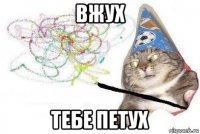 вжух тебе петух