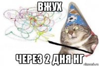 вжух через 2 дня нг