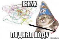 вжух поднял ноду