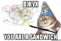 вжух you are a sandwich