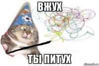 вжух ты питух