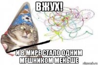 вжух! и в мире стало одним мгшником меньше