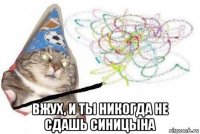  вжух, и ты никогда не сдашь синицына