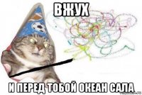 вжух и перед тобой океан сала