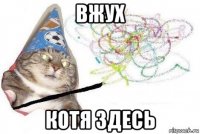 вжух котя здесь