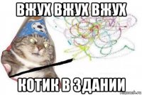 вжух вжух вжух котик в здании