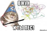 вжух и ты пес!