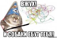 вжух! и собаки ебут тебя!