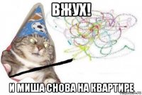 вжух! и миша снова на квартире