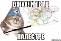 вжух! и ты в палестре