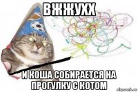 вжжухх и коша собирается на прогулку с котом