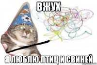 вжух я люблю птиц и свиней