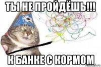 ты не пройдёшь!!! к банке с кормом