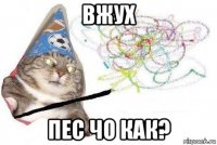 вжух пес чо как?