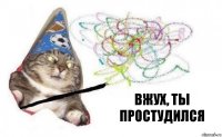 Вжух, ты простудился