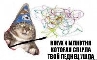 вжух и млкотня которая сперла твой леднец ушла