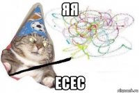 яя есес