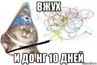 вжух и до нг 10 дней