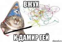 вжух и дамир гей