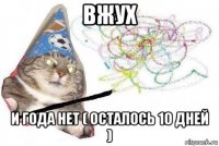 вжух и года нет ( осталось 10 дней )