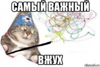 самый важный вжух