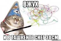 вжух и в ташкенте снег 30см