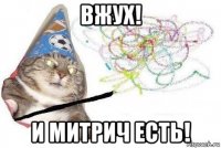 вжух! и митрич есть!