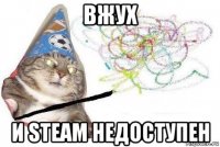 вжух и steam недоступен