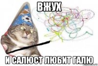 вжух и салюст любит галю