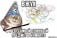 вжух и ты самый длинный предмет в комнате