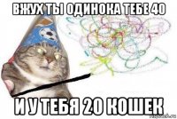 вжух ты одинока тебе 40 и у тебя 20 кошек