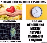 отношения между летучей мышью и ехидной