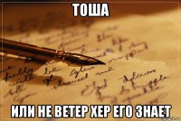 тоша или не ветер хер его знает