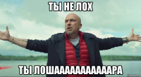 ты не лох ты лошааааааааааара