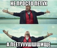 не просто петух а пеетууушшшище