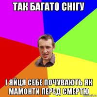 так багато снігу і яйця себе почувають як мамонти перед смертю