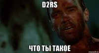 d2rs что ты такое