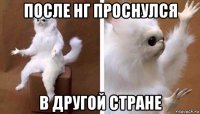 после нг проснулся в другой стране