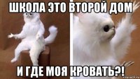 школа это второй дом и где моя кровать?!