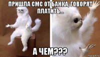 пришла смс от банка, говорят платить... а чем???