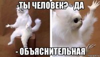 -ты человек? - да - объяснительная