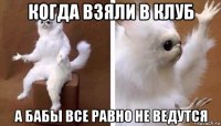 когда взяли в клуб а бабы все равно не ведутся