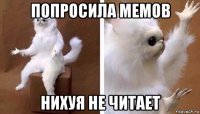 попросила мемов нихуя не читает