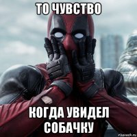 то чувство когда увидел собачку