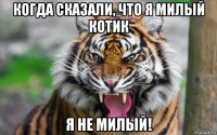 когда сказали, что я милый котик я не милый!