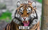 шука ответь