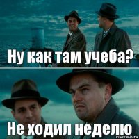 Ну как там учеба? Не ходил неделю